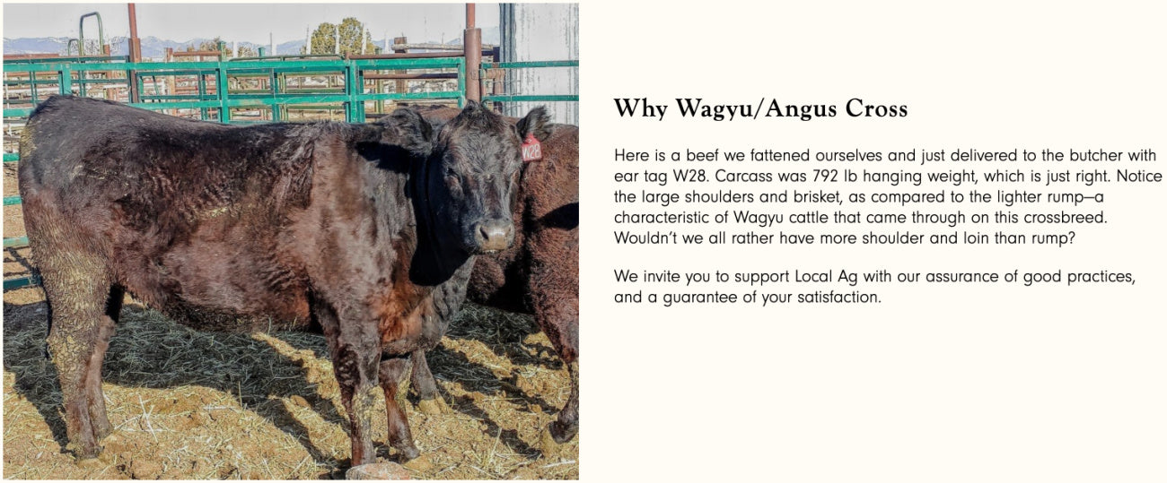 10 lbs. Assorted Wagyu Mixed Box, Local, Pasture Raised